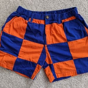 Chubbies Eye Catching🍊 and Blue Checked Shorts
